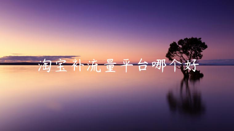 淘寶補(bǔ)流量平臺(tái)哪個(gè)好